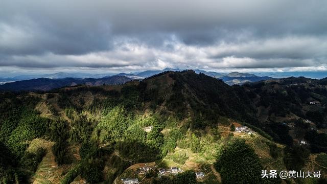 茶中翡翠，歙县滴水香——一颗蒙尘在北纬30°线上的黄山明珠
