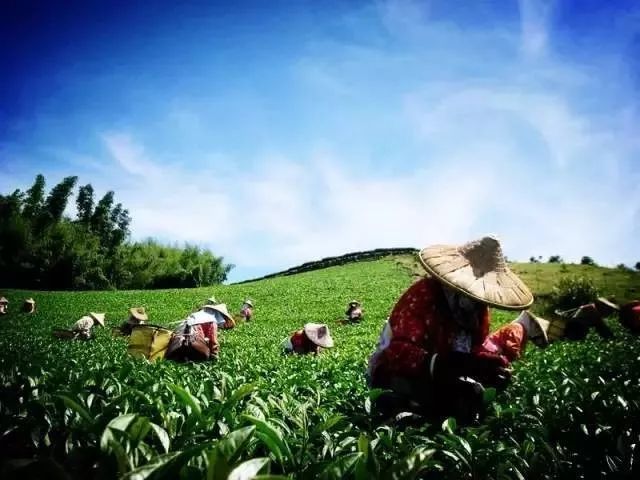 日本爱东町地区的循环农业,日本滋贺县爱东町区