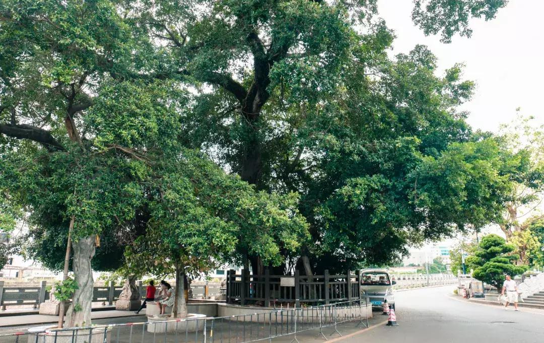 观澜算深圳偏僻的地方吗,观澜有没有价值