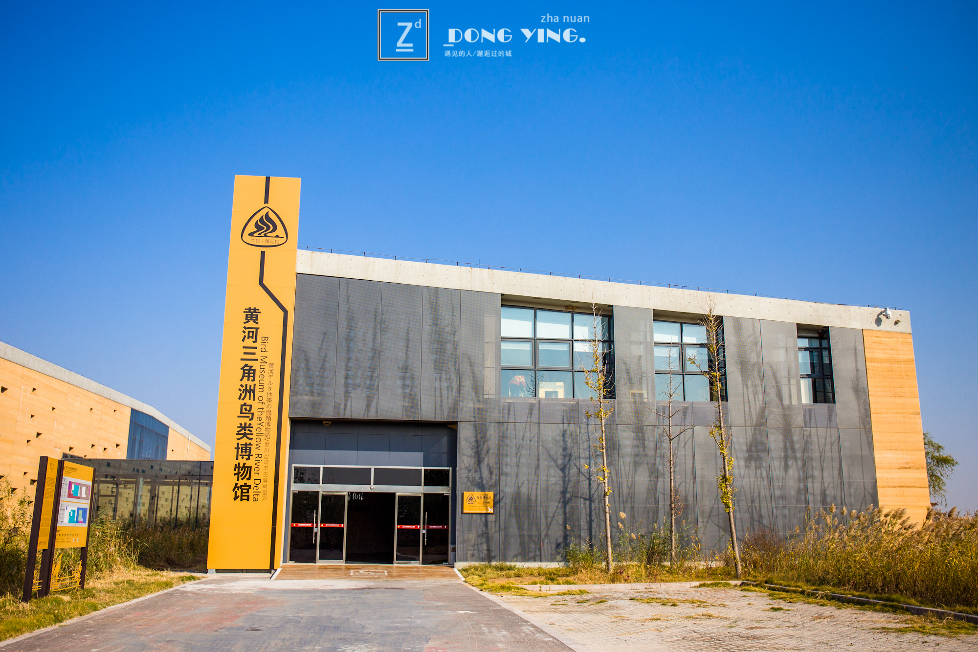 山东黄河入海城市,山东黄河去哪里看最壮观