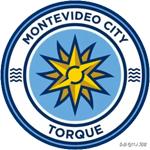 足坛独角兽，从四川九牛到英超曼城，走进城市足球帝国“九兄弟”