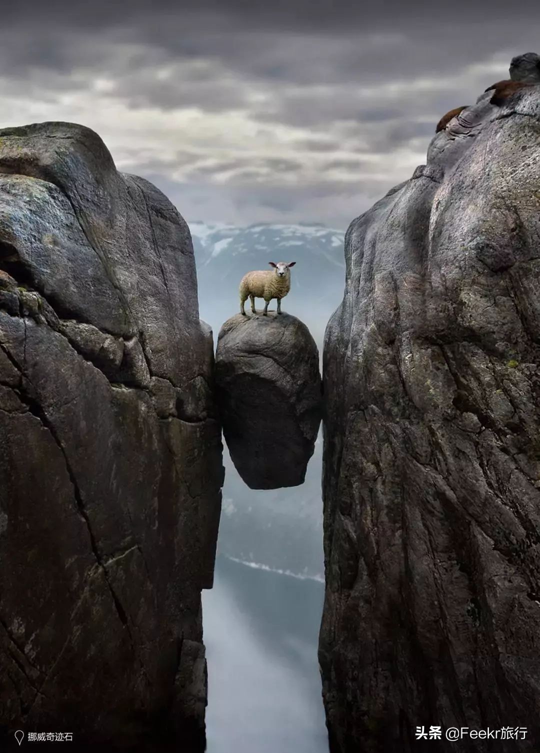 王珞丹35岁庆生照,王珞丹的生日是几月几号