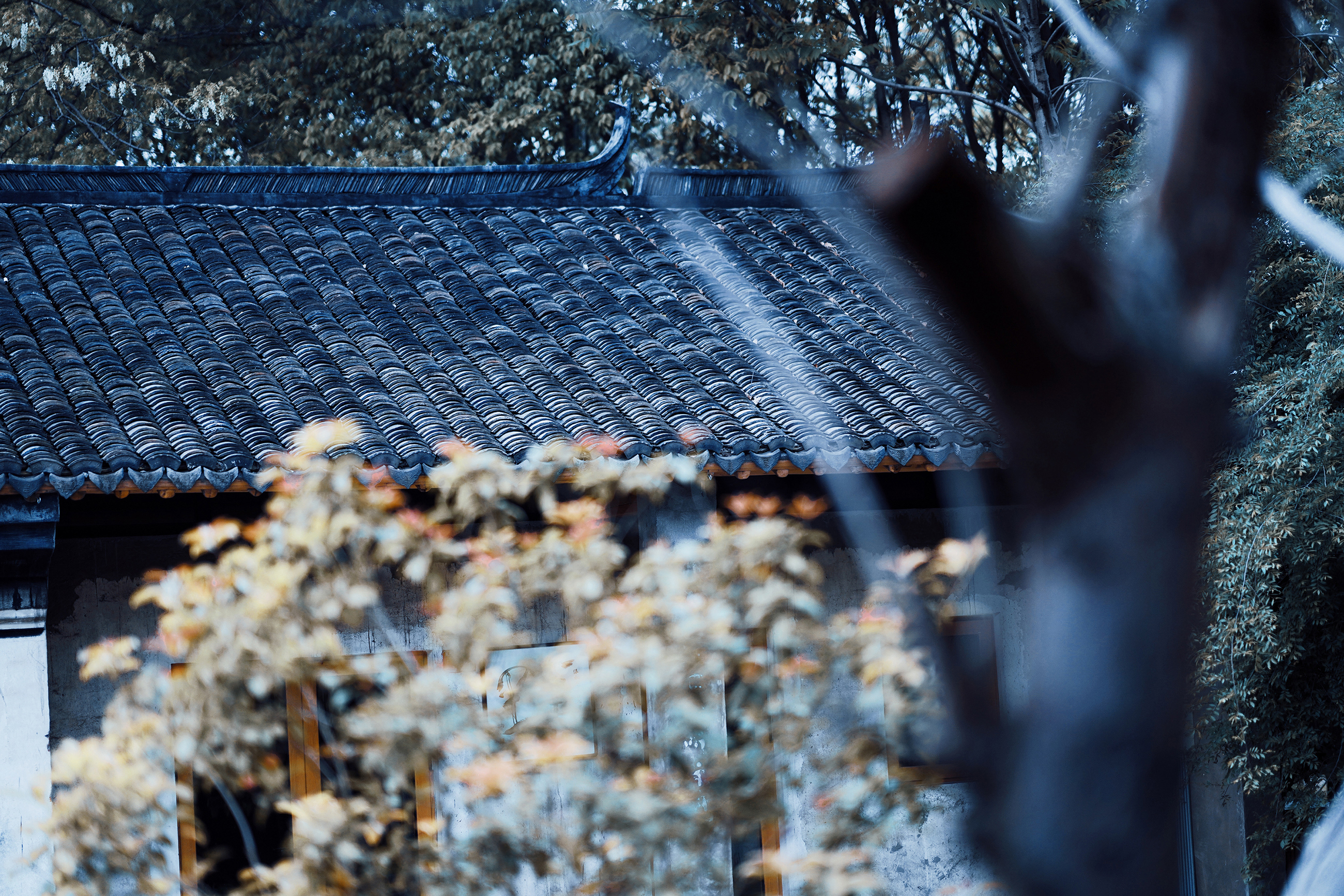 苏州特色民宿推荐,苏州最有特色民宿推荐