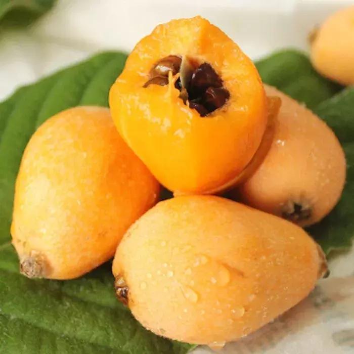 自驾旅游沿着g30高速公路看风景,沿g318去拉萨一路海拔