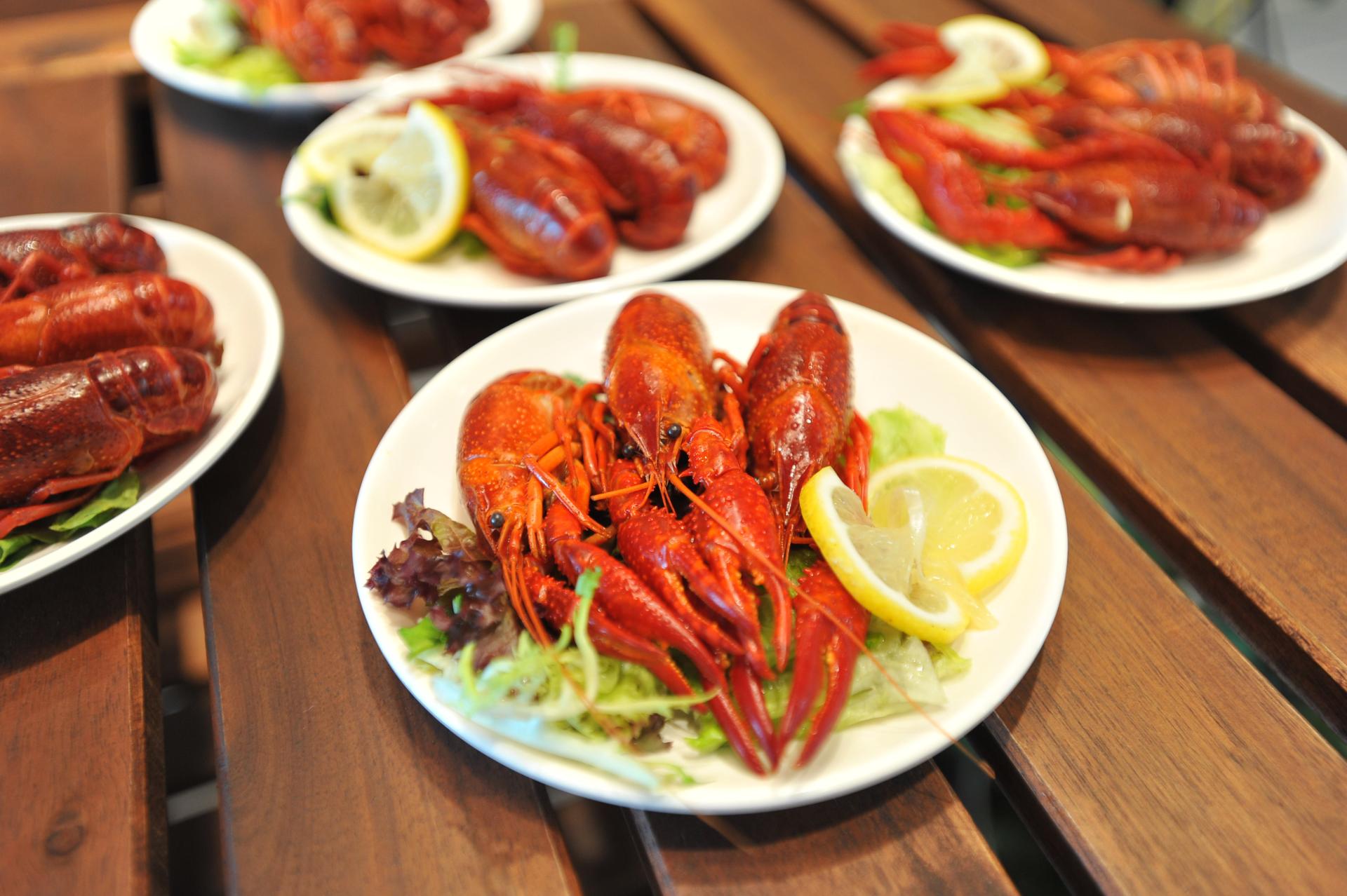 瑞典旅行购物攻略大全,瑞典北欧极光旅行攻略