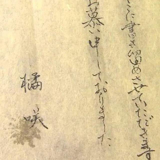 橘咲：给遗忘世界的未知情书