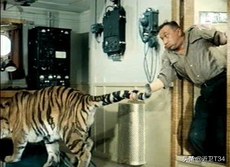 为人们带来欢笑的孤独艺术家—阿列克谢·斯米尔诺夫