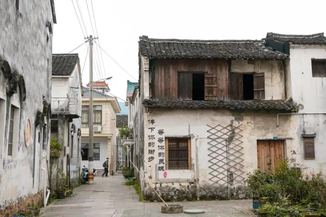 银杏古道自驾游攻略,江浙沪绝美古道苏州