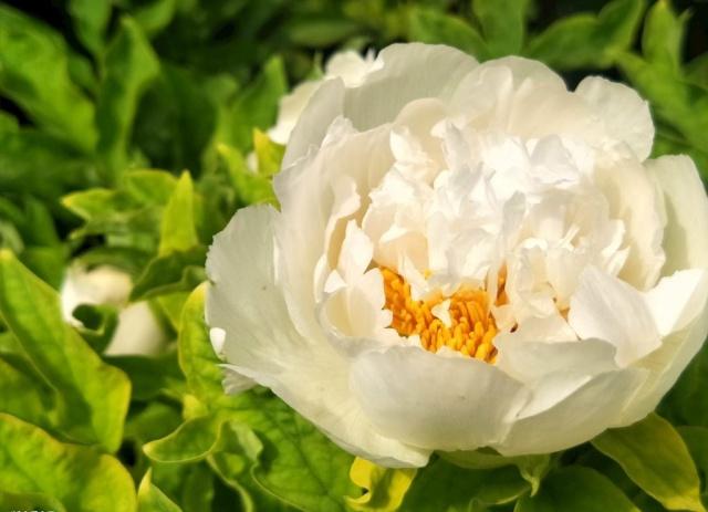 心理测试测你是不是享福命,测试测出你是富人命还是穷苦命