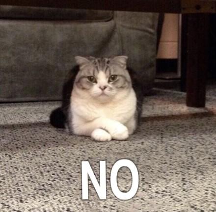 女生节礼物给女友,女生应该送什么礼物给直男