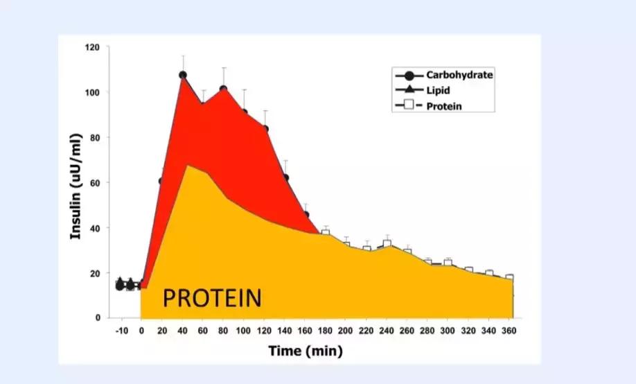 世界公认减肥2天瘦10斤,日本快速减肥法一星期瘦十斤