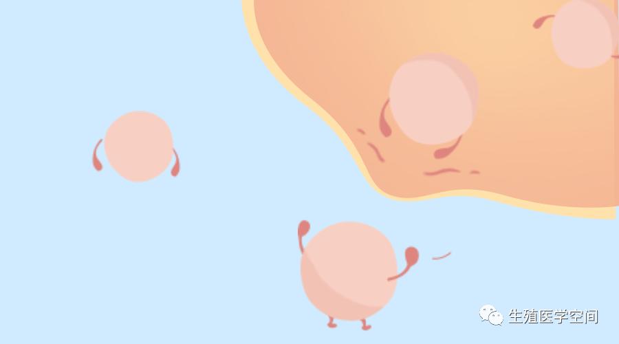 30岁以上还能生育吗,30岁了打算生孩子要注意些什么