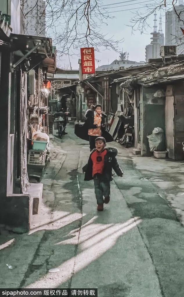 紫色花海免费版,紫色花海免费