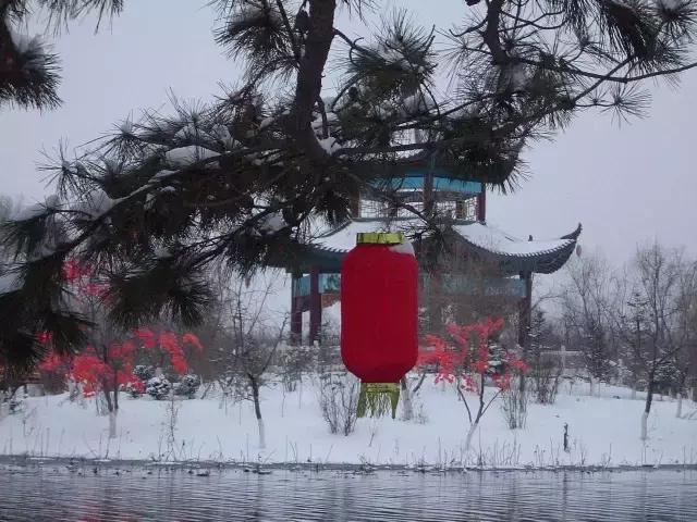 过年放下手机陪家人打牌,过年回家和朋友一起打麻将