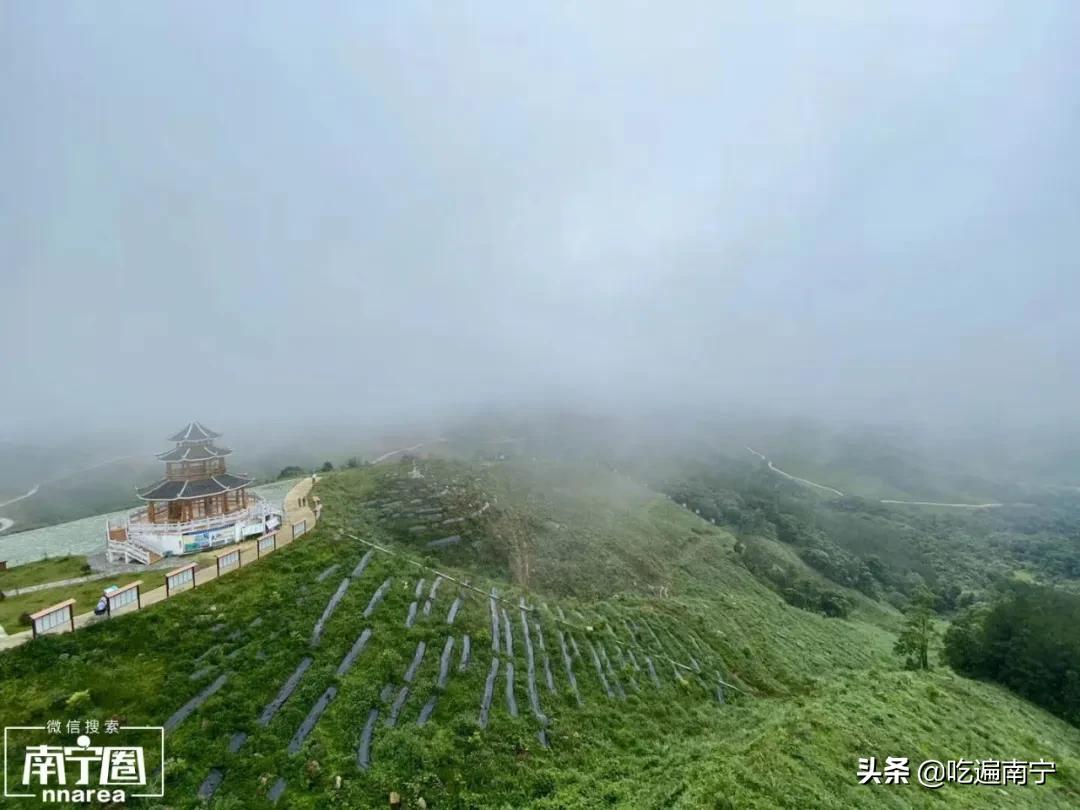 河池，广西吃得最野的地方