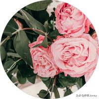 中学生情感问题怎么解决,老人情感问题怎么解决