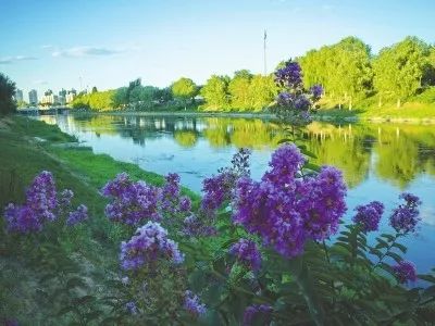 娓呮渤婊ㄦ按缁垮粖澶滄櫙,娓呮渤婊ㄦ按缁垮粖鍥剧墖