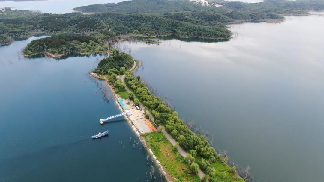 中国降水北迁,北京首次发现罕见尖帽草,北方会变成南方吗?