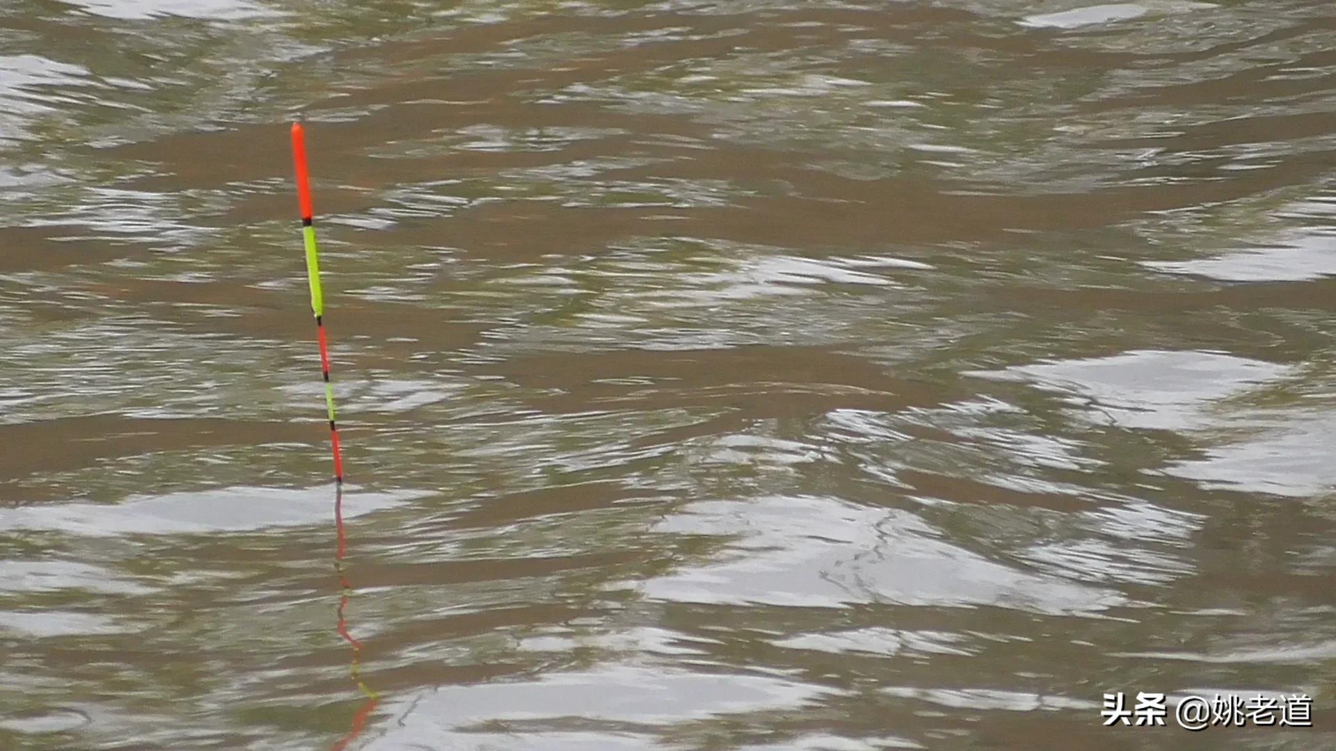 正确调漂的原理和方法,调漂总是只有一目