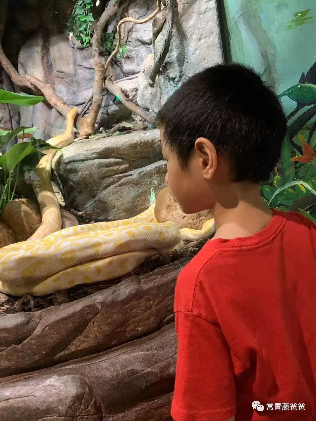 广州长隆攻略两天一夜住哪个酒店,去珠海长隆前一天下午游玩攻略