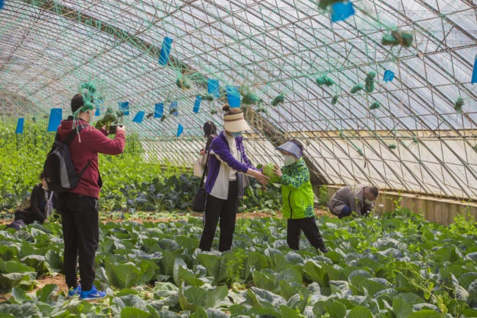 三寰牧场启动春耕节，别样活动促进后疫情时期文旅经济复苏。
