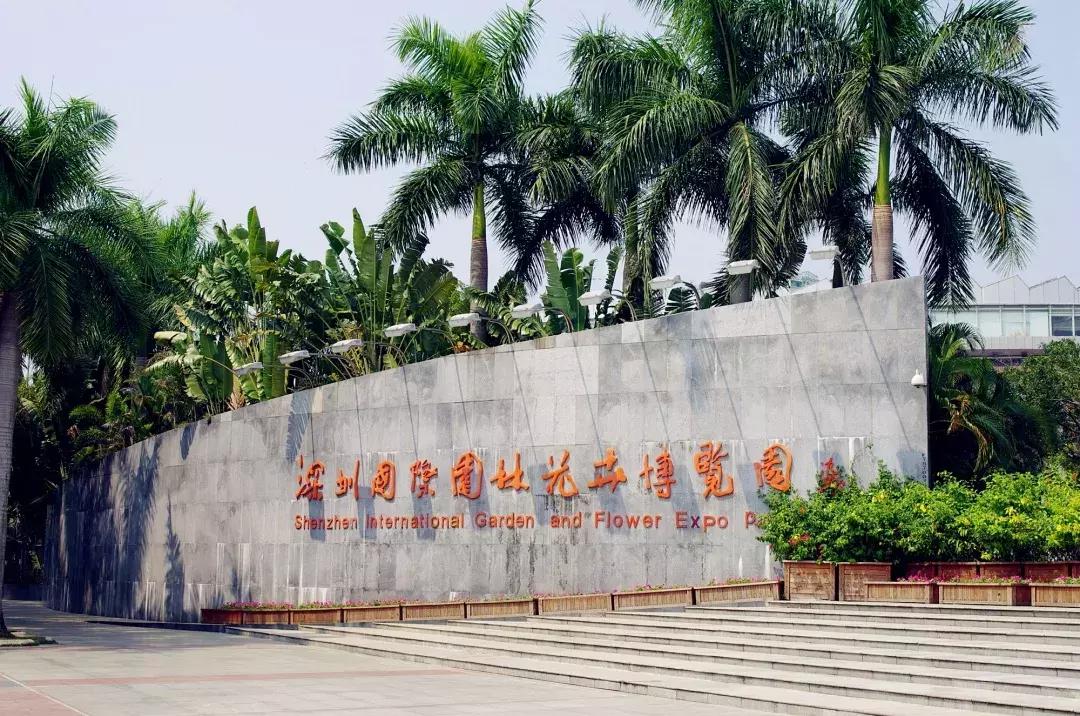 深圳建市四十周年,深圳市建市40周年从什么时候开始