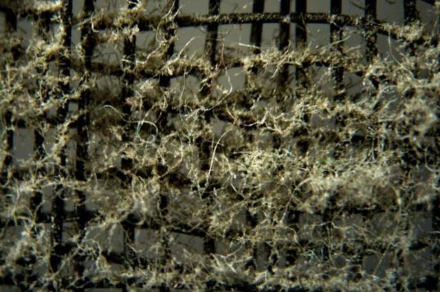 美的kfr-51lw空调如何清洗滤网,空调滤网如何拆下来清洗柜机