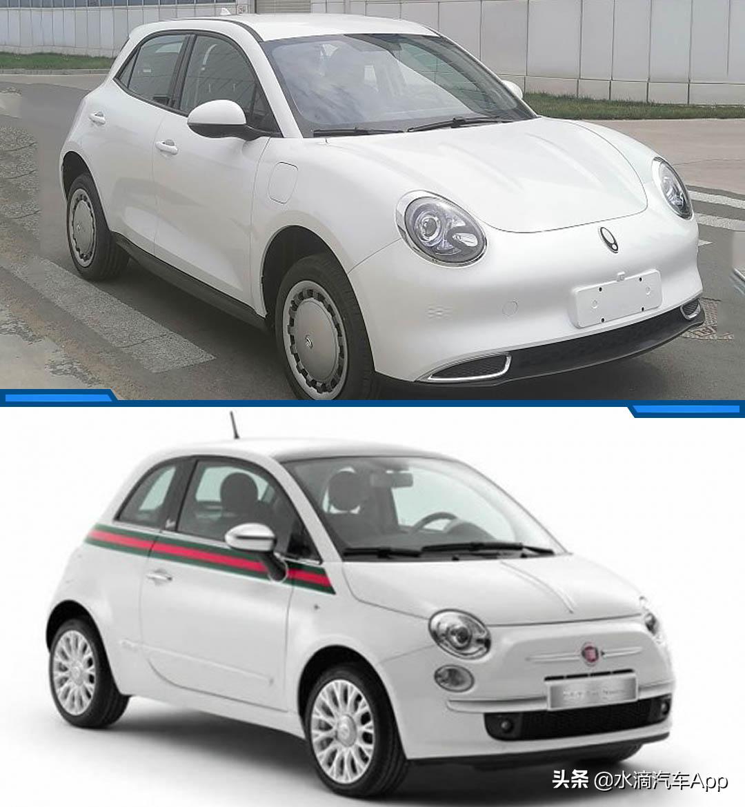 突然伪潮流的欧拉，能成为一只好猫么？