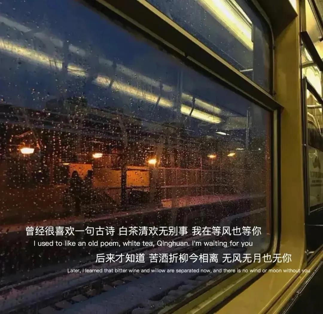 大自然治愈清新的背景图,文艺清新淡雅鲜花背景图