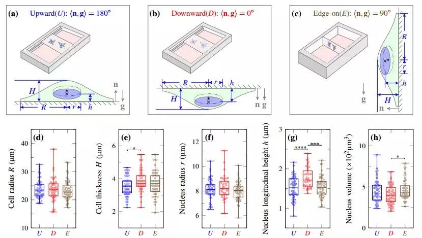 latex璁烘枃鎺掔増鍏ラ棬鏁欑▼,璁烘枃鎺掔増杞欢latex婕旂ず
