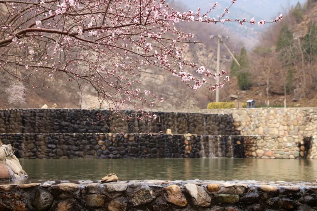 北京4月踏青的地方丰台区有哪些,丰台踏青好去处