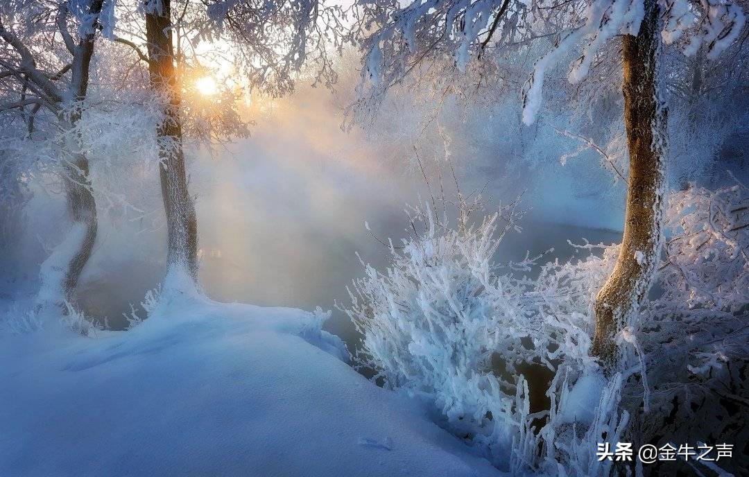 诵读国学传诵经典,关于国学经典传诵的视频