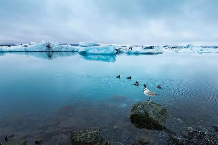国内最不可缺的零食,国内大量零食