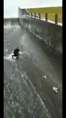 这只鹦鹉一直以为他是一只猴，所以每天都在重复做这个动作