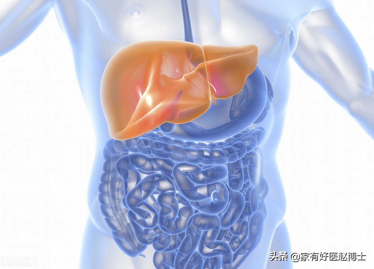 体检报告中常出现钙化哪些需警惕,钙化有什么症状和危害