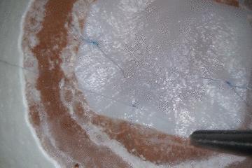 鸡蛋皮缝合手术,缝合鸡蛋膜视频教程