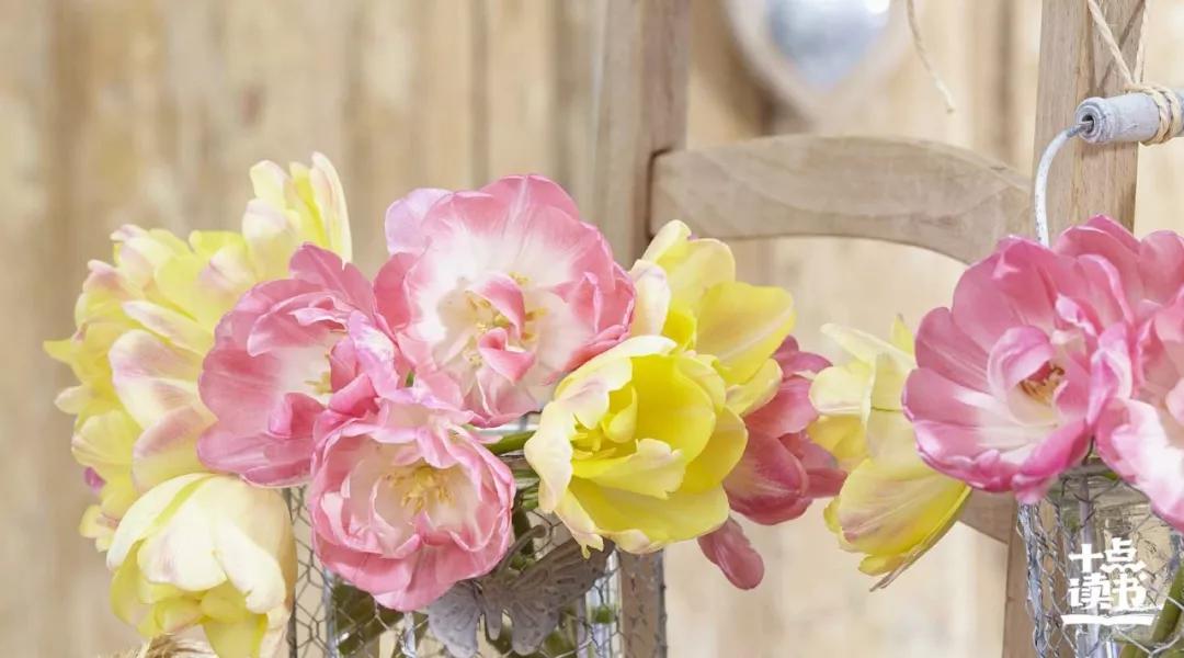 夫妻不和家必败全文,夫妻不和家必败值得一看