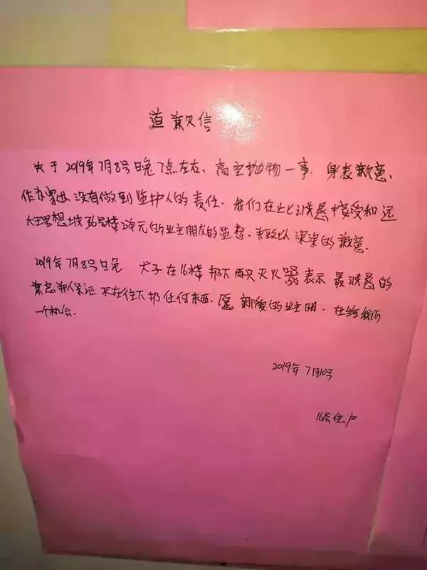 10岁男孩高空抛下灭火器砸中邻居,灭火器高空扔下致使邻居死亡