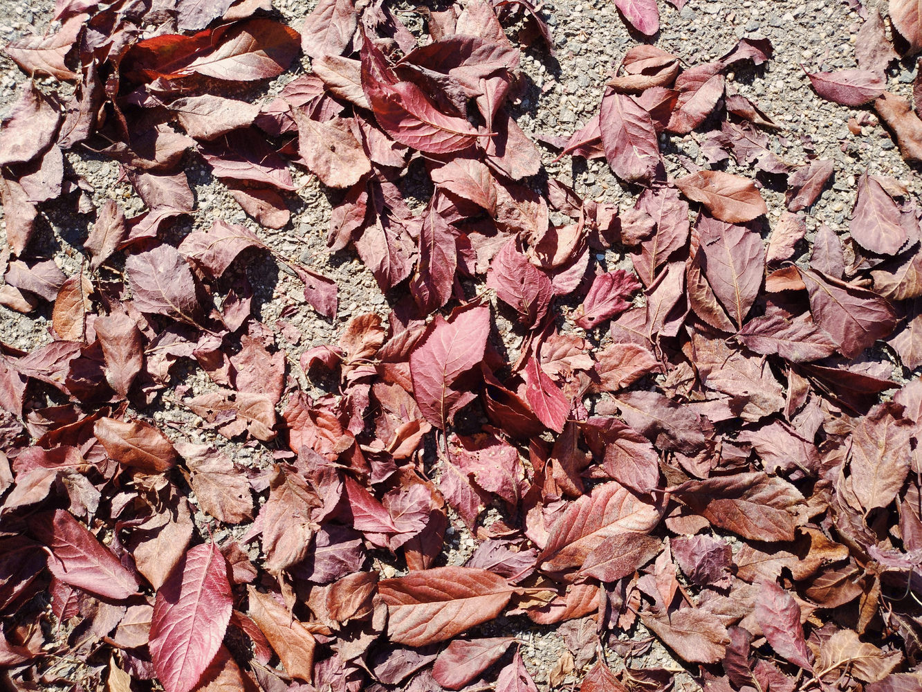 设计师福利模板,设计师必备100件用品