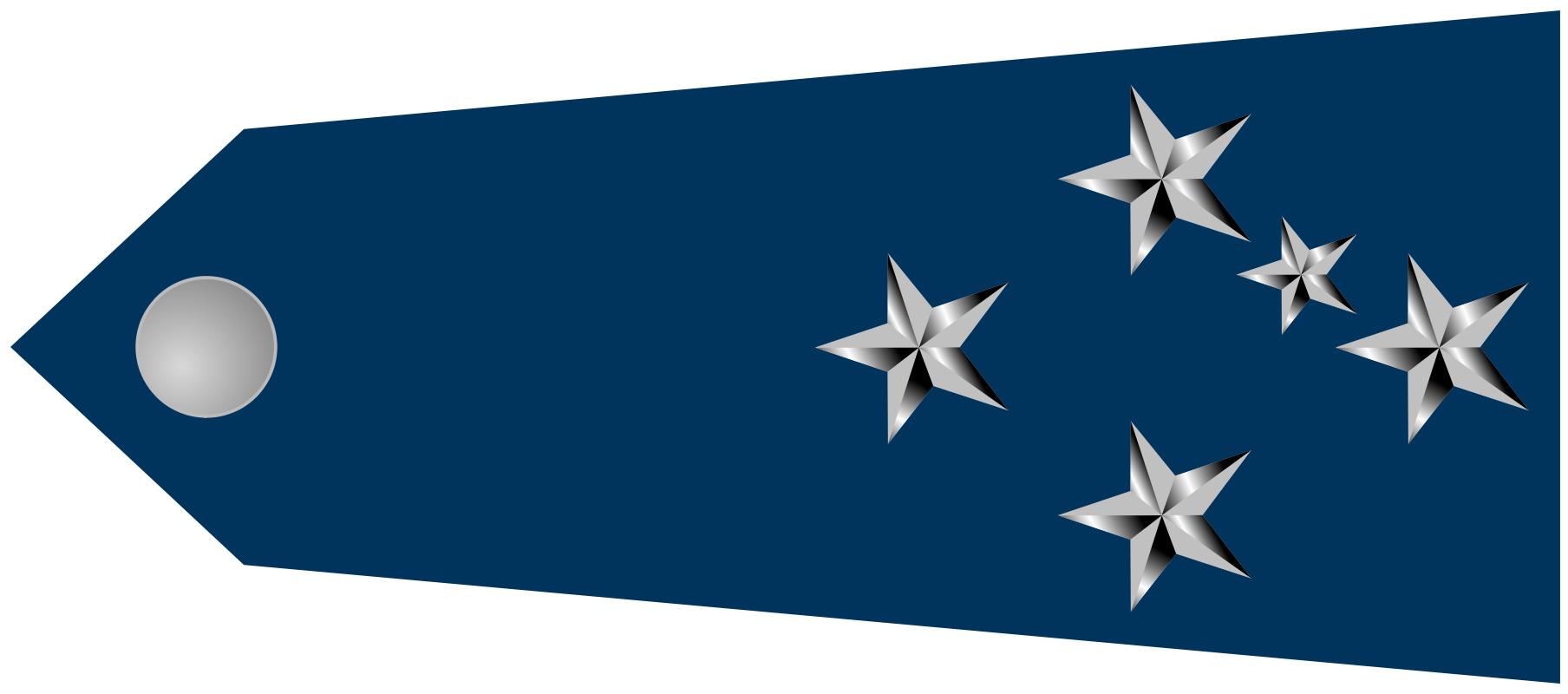 巴西军队标志,巴西海军军衔