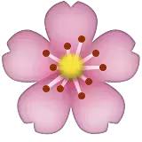 测试双重人格小程序,测试双重人格的方法