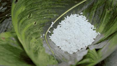 全国最好吃的7只粽子，看看有没有你家乡的