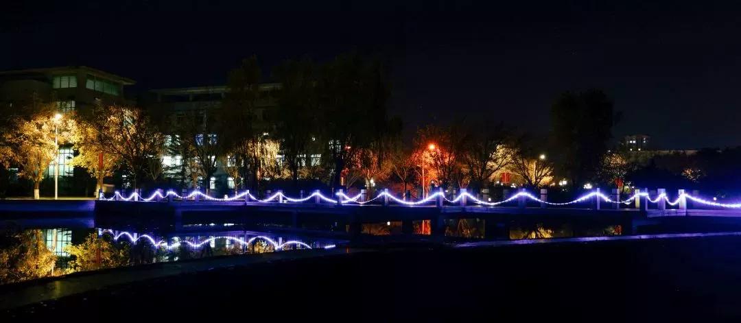 沈阳化工大学辽宁省排名,沈阳化工大学2020招生计划辽宁省