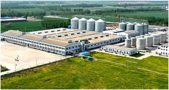 在核心产区寻找中国产酒,来自中国清香型白酒核心产区