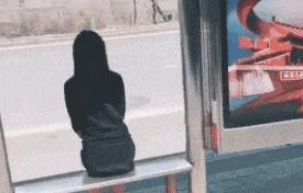 搞笑斑马线段子,搞笑斑马线不礼让行人