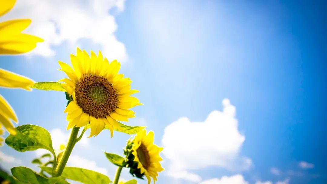 投资历程及人生感悟,分享真正的投资知识与干货