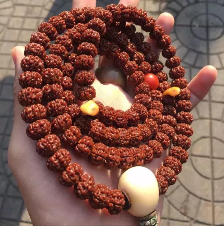 金刚菩提子手串知识大全,讲解金刚菩提的书籍