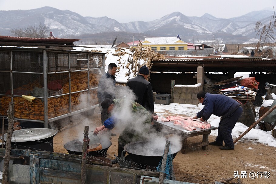 回忆年味东北杀猪菜图片,杀猪菜东北农村年味