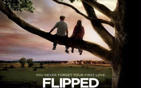 看怦然心动电影学习英语,怦然心动英文电影台词完整版