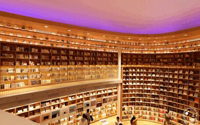 上海一日游古镇最佳路线免费景点,上海晚上十大必去免费景点